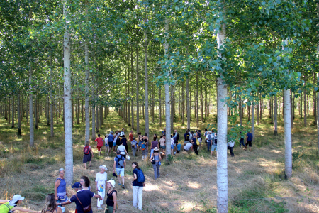 Paysages in Marciac du 22 au 27 juillet 2024