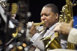 Wynton Marsalis © Francis Vernhet