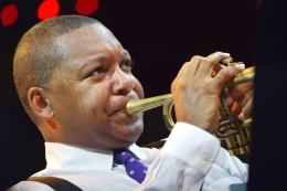 Wynton Marsalis © Francis Vernhet