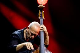 <p><strong>Avishai Cohen © Laurent Sabathé</strong></p>
