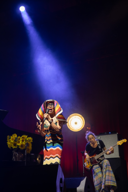 <p>Dee Dee Bridgewater © Laurent Sabathé</p>
