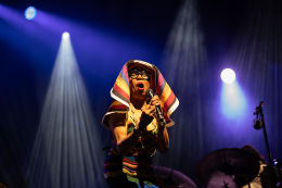 <p>Dee Dee Bridgewater © Laurent Sabathé</p>
