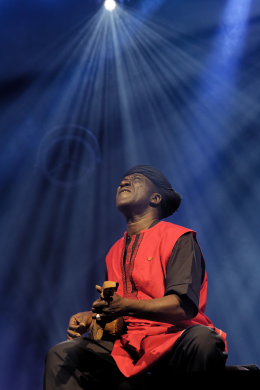 <p>Salif Keita © Nicolas Roger</p>
