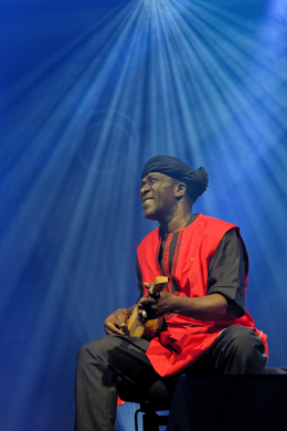 <p>Salif Keita © Nicolas Roger</p>
