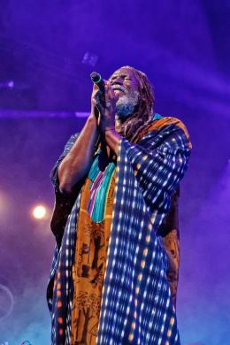 <p>Tiken Jah Fakoly © Nicolas Roger</p>
