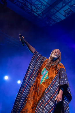<p>Tiken Jah Fakoly © Nicolas Roger</p>
